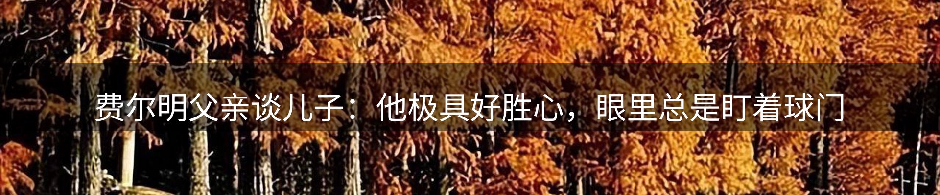 新闻解析